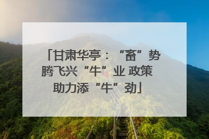 甘肃华亭：“畜”势腾飞兴“牛”业 政策助力添“牛”劲
