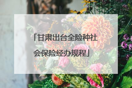 甘肃出台全险种社会保险经办规程