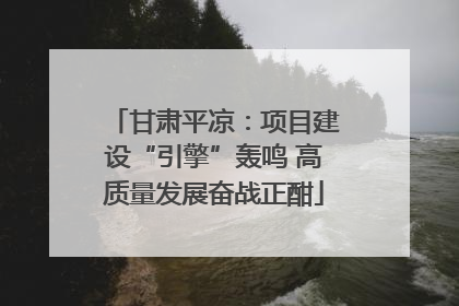 甘肃平凉：项目建设“引擎”轰鸣 高质量发展奋战正酣