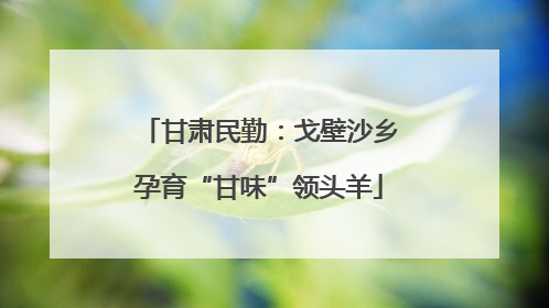 甘肃民勤：戈壁沙乡孕育“甘味”领头羊