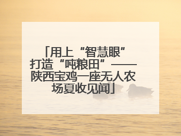 用上“智慧眼” 打造“吨粮田”——陕西宝鸡一座无人农场夏收见闻
