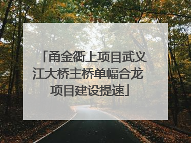 甬金衢上项目武义江大桥主桥单幅合龙 项目建设提速