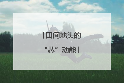 田间地头的“芯”动能