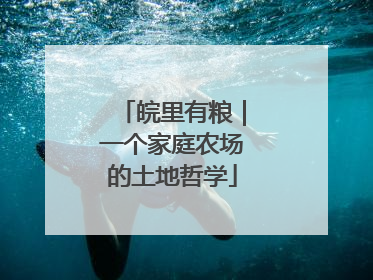 皖里有粮｜一个家庭农场的土地哲学