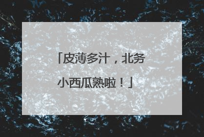 皮薄多汁，北务小西瓜熟啦！