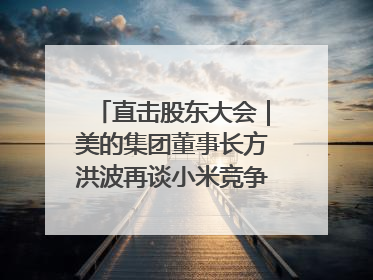直击股东大会｜美的集团董事长方洪波再谈小米竞争：行业一片红海，打法已固定，无论谁胜都是消耗战