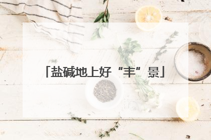 盐碱地上好“丰”景