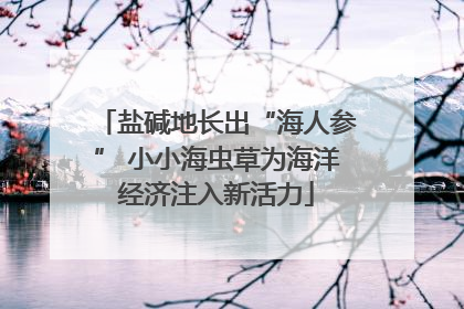盐碱地长出“海人参” 小小海虫草为海洋经济注入新活力