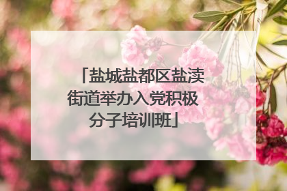 盐城盐都区盐渎街道举办入党积极分子培训班