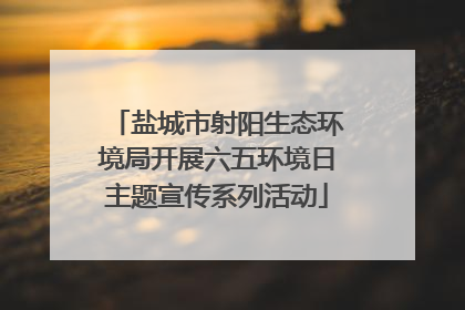 盐城市射阳生态环境局开展六五环境日主题宣传系列活动