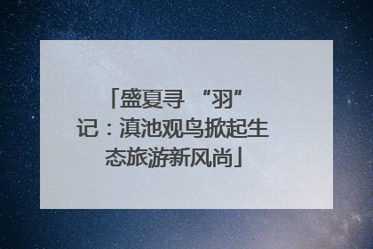 盛夏寻 “羽” 记：滇池观鸟掀起生态旅游新风尚