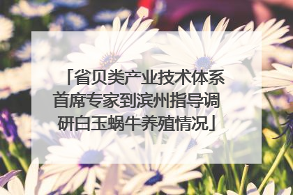 省贝类产业技术体系首席专家到滨州指导调研白玉蜗牛养殖情况