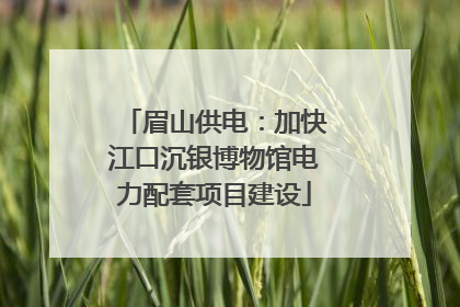 眉山供电：加快江口沉银博物馆电力配套项目建设