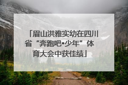 眉山洪雅实幼在四川省“奔跑吧•少年”体育大会中获佳绩