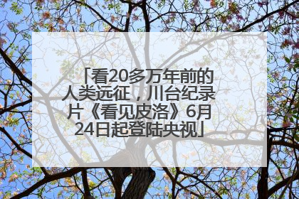 看20多万年前的人类远征，川台纪录片《看见皮洛》6月24日起登陆央视