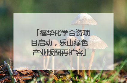 福华化学合资项目启动，乐山绿色产业版图再扩容
