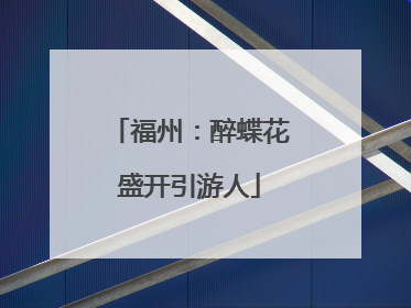 福州：醉蝶花盛开引游人