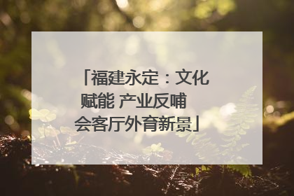 福建永定：文化赋能 产业反哺 会客厅外育新景