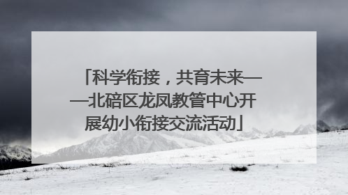 科学衔接，共育未来——北碚区龙凤教管中心开展幼小衔接交流活动