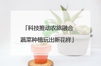 科技推动农旅融合 蔬菜种植玩出新花样