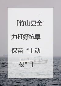 竹山县全力打好抗旱保苗“主动仗”