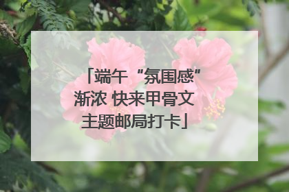 端午“氛围感”渐浓 快来甲骨文主题邮局打卡