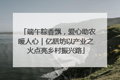 端午粽香飘，爱心助农暖人心｜亿膳坊以产业之火点亮乡村振兴路