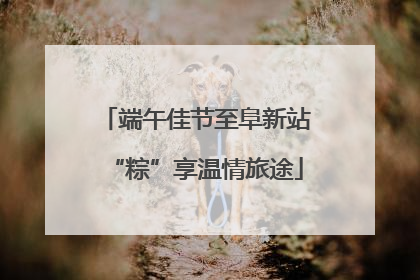 端午佳节至阜新站“粽”享温情旅途