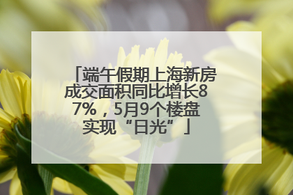 端午假期上海新房成交面积同比增长87%，5月9个楼盘实现“日光”