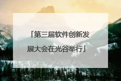 第三届软件创新发展大会在光谷举行