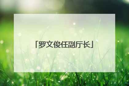 罗文俊任副厅长