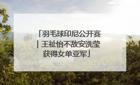 羽毛球印尼公开赛｜王祉怡不敌安洗莹 获得女单亚军