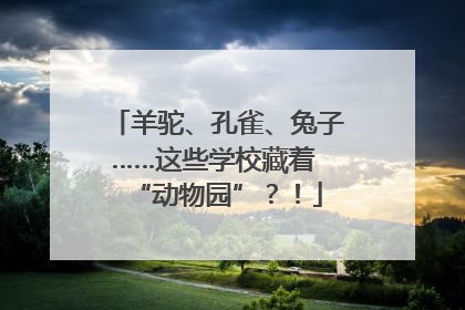 羊驼、孔雀、兔子……这些学校藏着 “动物园”？！
