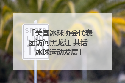 美国冰球协会代表团访问黑龙江 共话冰球运动发展