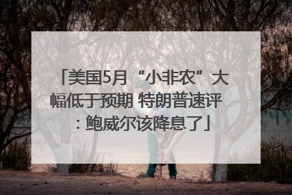 美国5月“小非农”大幅低于预期 特朗普速评：鲍威尔该降息了