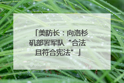 美防长：向洛杉矶部署军队“合法且符合宪法”