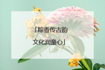 粽香传古韵 文化润童心