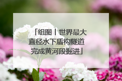 组图丨世界最大直径水下盾构隧道完成黄河段掘进