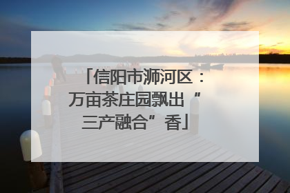 信阳市浉河区：万亩茶庄园飘出“三产融合”香