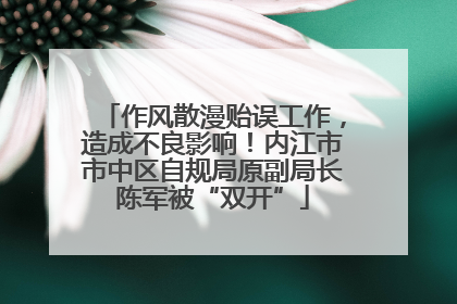 作风散漫贻误工作，造成不良影响！内江市市中区自规局原副局长陈军被“双开”