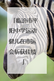临汾市平阳中学运动健儿在市运会斩获佳绩