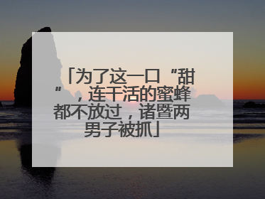 为了这一口“甜”，连干活的蜜蜂都不放过，诸暨两男子被抓