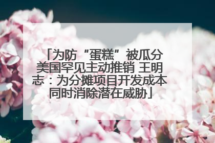 为防“蛋糕”被瓜分 美国罕见主动推销 王明志：为分摊项目开发成本同时消除潜在威胁