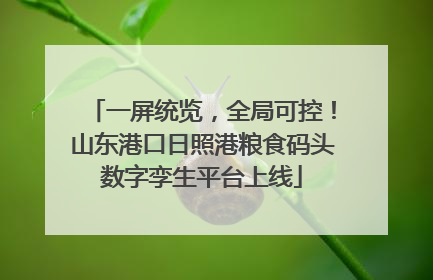 一屏统览，全局可控！山东港口日照港粮食码头数字孪生平台上线