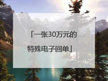 一张30万元的特殊电子回单