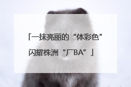一抹亮丽的“体彩色”闪耀株洲“厂BA”