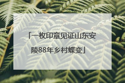 一枚印章见证山东安陵88年乡村蝶变