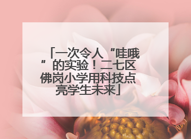 一次令人“哇哦”的实验！二七区佛岗小学用科技点亮学生未来