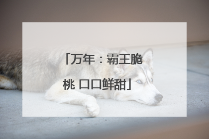 万年：霸王脆桃 口口鲜甜
