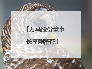 万马股份董事长李刚辞职